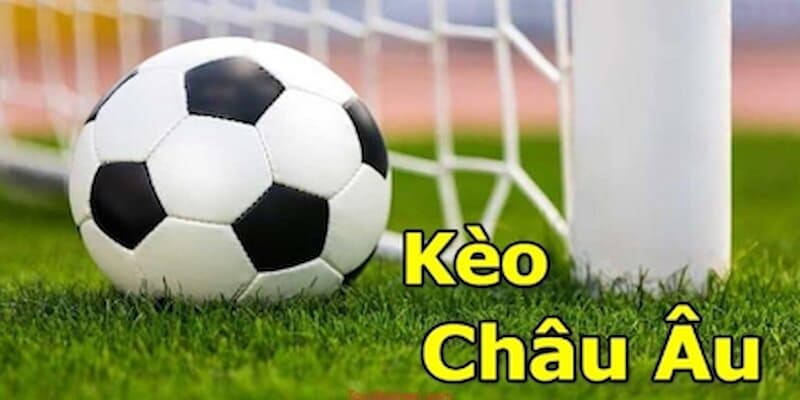 Cách Chơi Kèo Châu Âu Chuẩn Cho Độc Giả Tham Khảo 2 Hướng dẫn cụ thể cách chơi kèo châu Âu cụ thể nhất